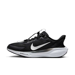 Кроссовки Nike Pegasus EasyOn