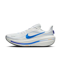 Кроссовки Nike Air Winflo 12