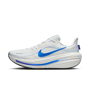 Кроссовки Nike Air Winflo 12