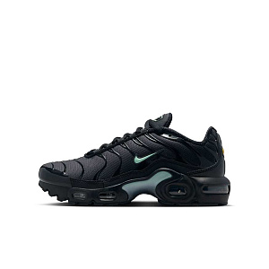 Кроссовки Nike Air Max Plus (GS)