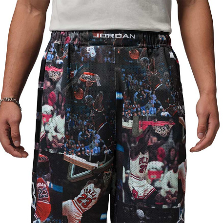 Шорты Jordan Flight Printed Cat Scratch Shorts