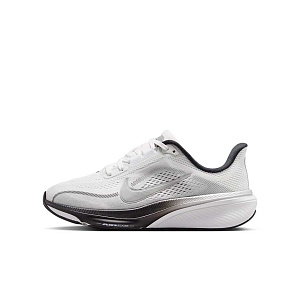 Кроссовки Nike Air Zoom Pegasus 42 (GS)