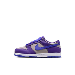 Кроссовки Nike Dunk Low (PSE)