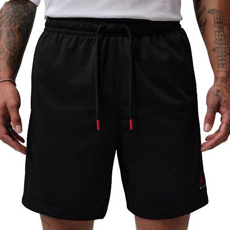 Шорты Jordan Break Champion Mesh Short
