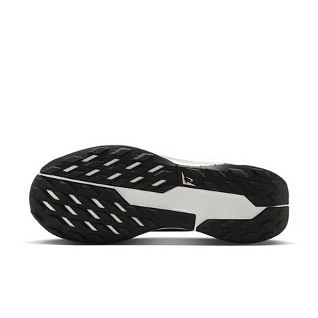 Кроссовки Nike Pegasus Trail 5 GORE-TEX