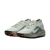 Кроссовки Nike ACG Pegasus Trail Gore-Tex