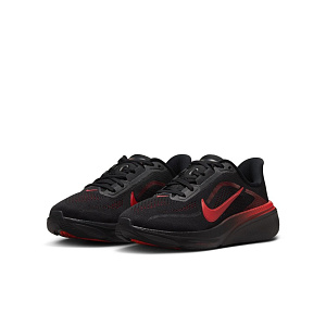 Кроссовки Nike Air Zoom Pegasus 42 (GS)