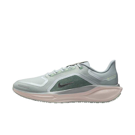 Кроссовки Nike Pegasus 41 GORE-TEX