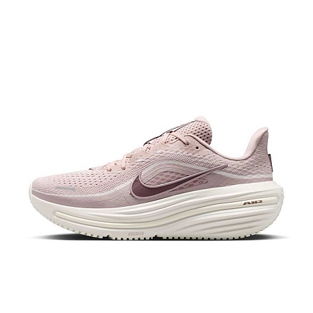 Кроссовки Nike Air Winflo 12
