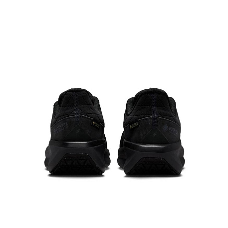 Кроссовки Nike Winflo 11 GORE-TEX