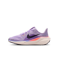 Кроссовки Nike Pegasus 41(GS)