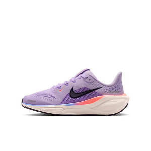 Кроссовки Nike Pegasus 41(GS)
