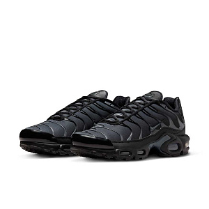 Кроссовки Nike Air Max Plus