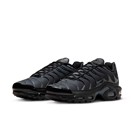 Кроссовки Nike Air Max Plus