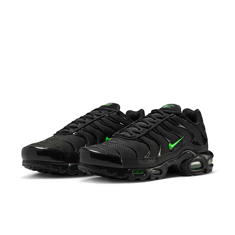 Кроссовки Nike Air Max Plus