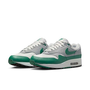 Кроссовки Nike Air Max 1 Essential
