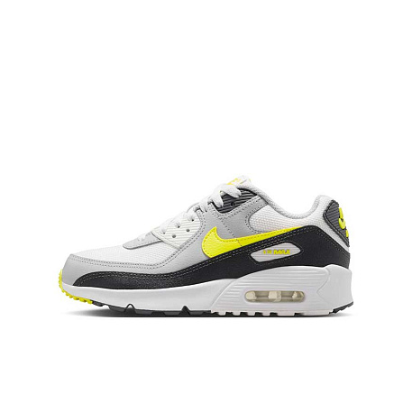 Кроссовки Nike Air Max 90 (GS)