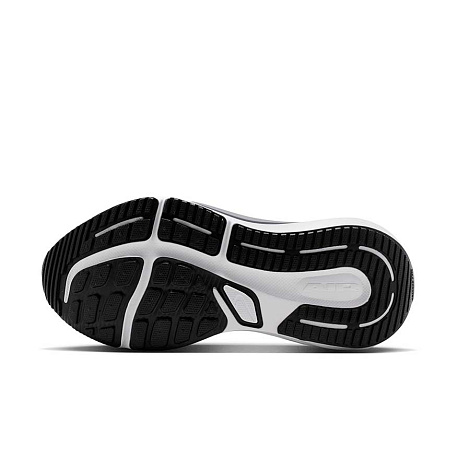 Кроссовки Nike Air Winflo 12
